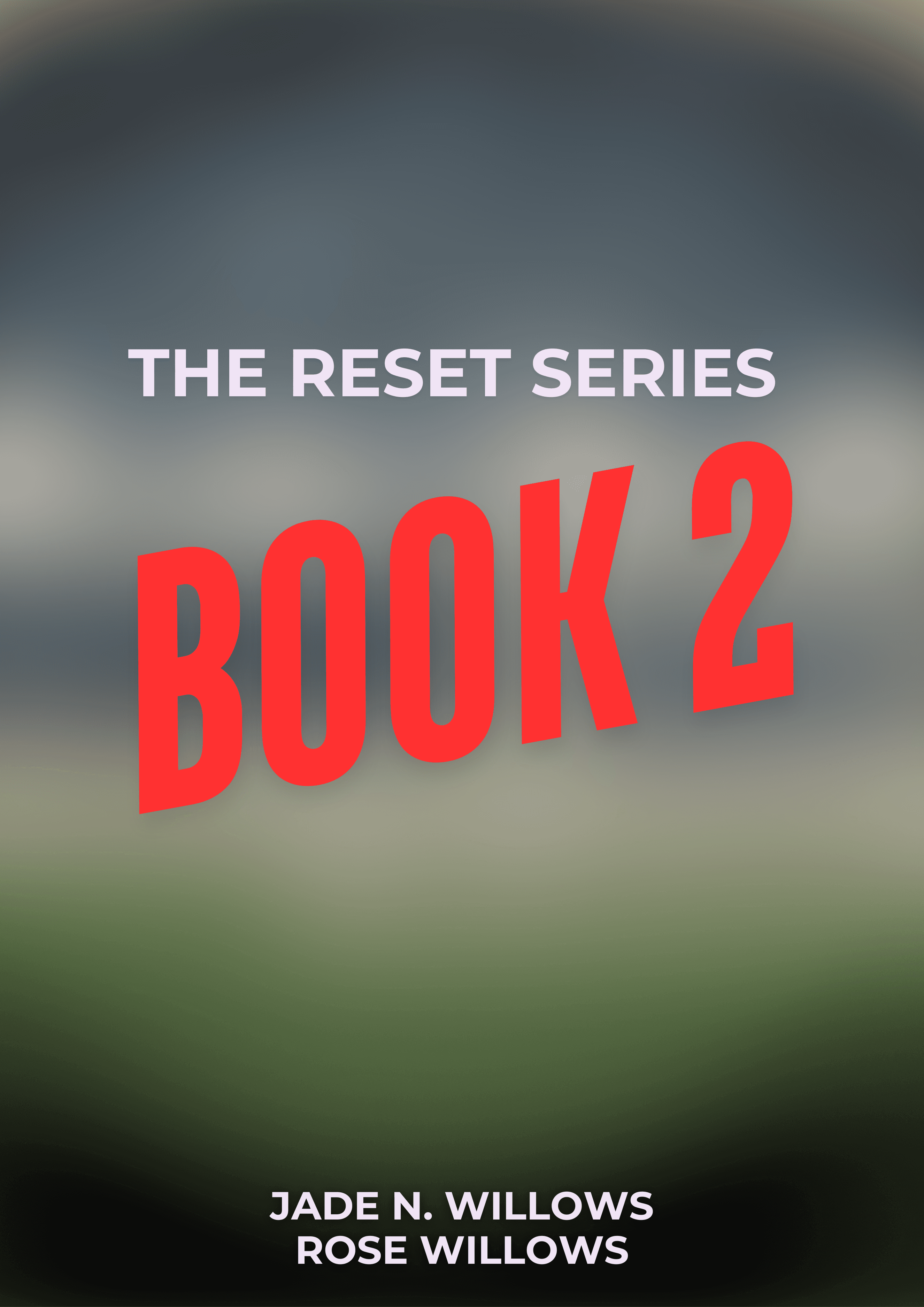 Rematch book cover